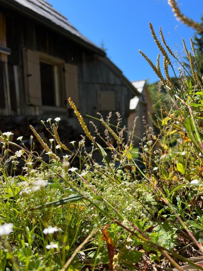 Chalet Velika Planina - I Feel Alps Stahovica Exterior foto